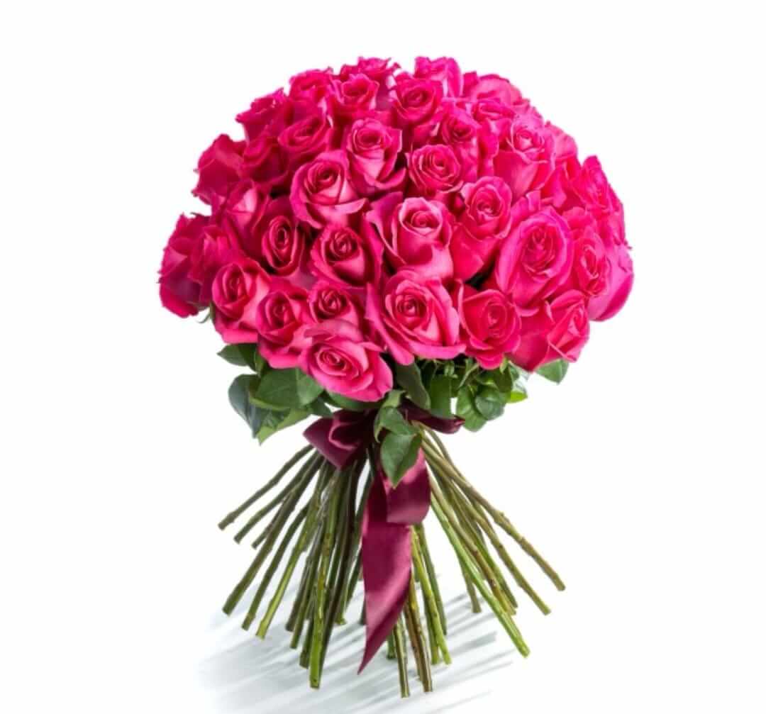 49 trandafiri fucsia legați cu funda elegantă de saten