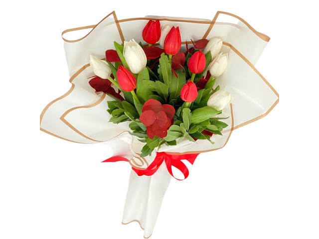 Buchet 11 lalele rosii si albe