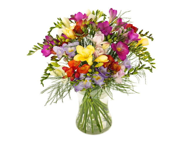 Buchet frezii multicolore