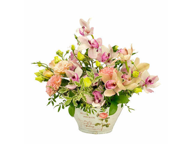 Orhidee imperiala si lisianthus in cos sau cutie catifea