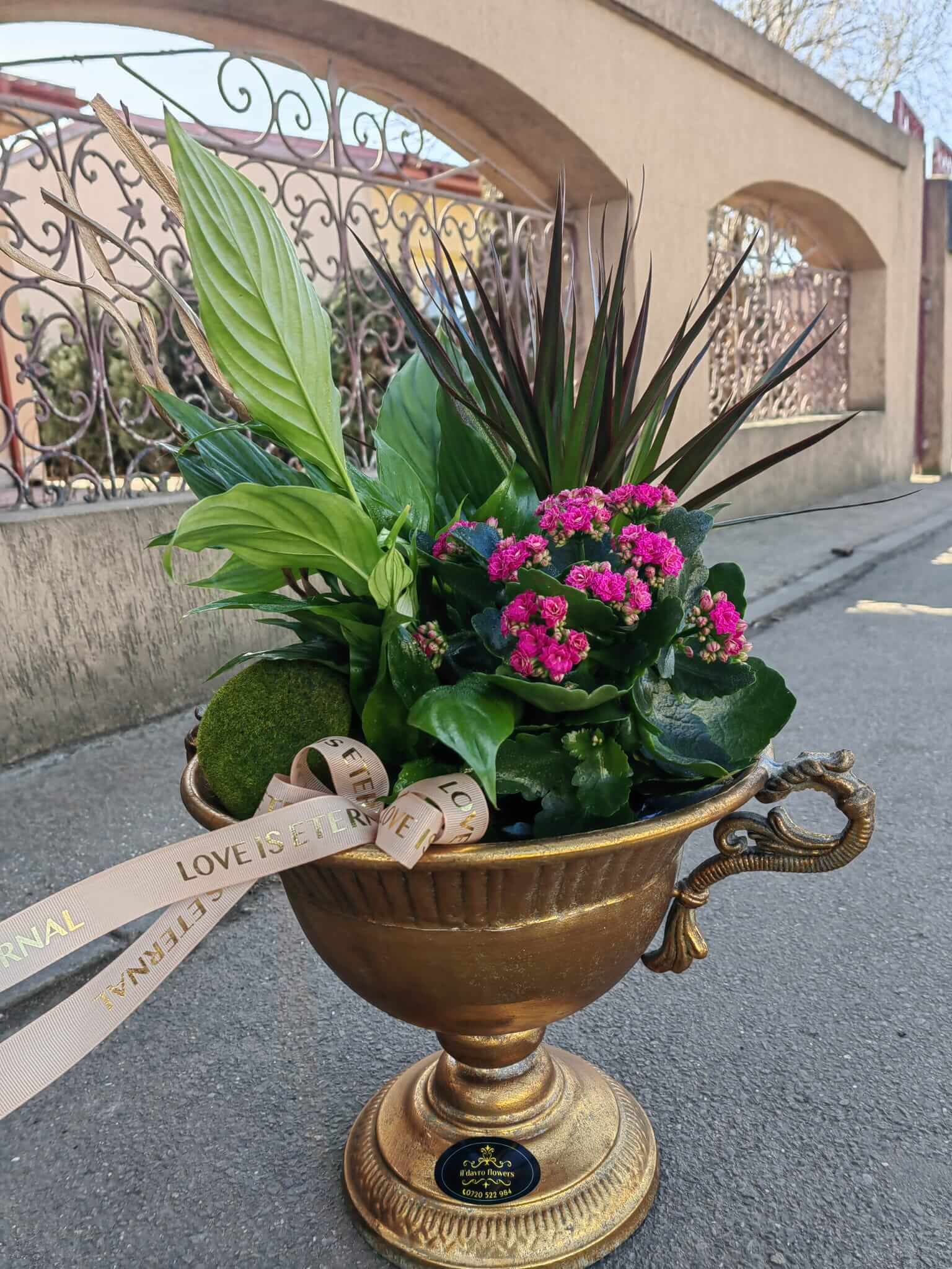 Aranjament boem din plante, intr o cupa vintage Il Davro-Flowers 2