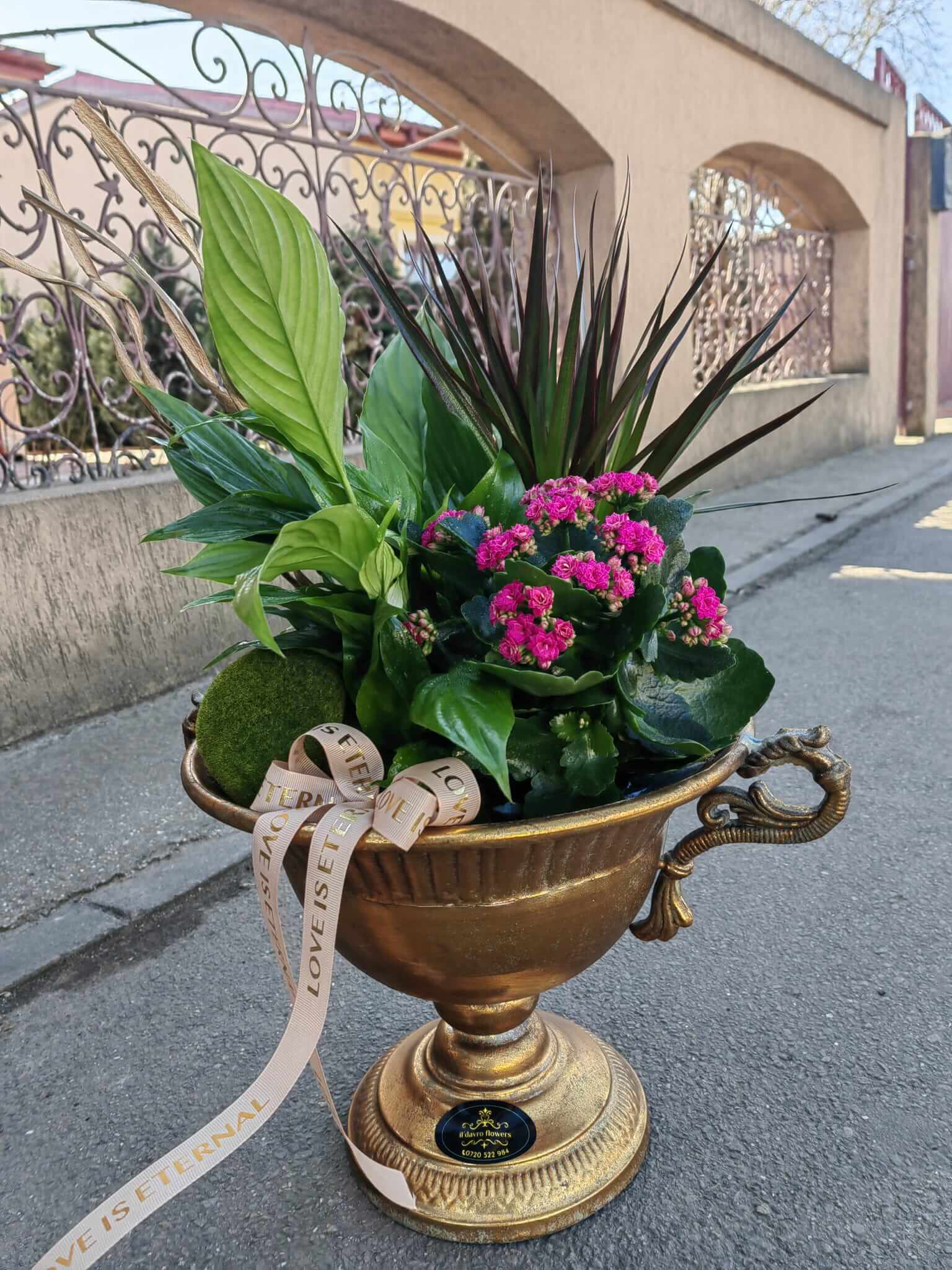 Aranjament boem din plante, intr o cupa vintage Il Davro-Flowers 3