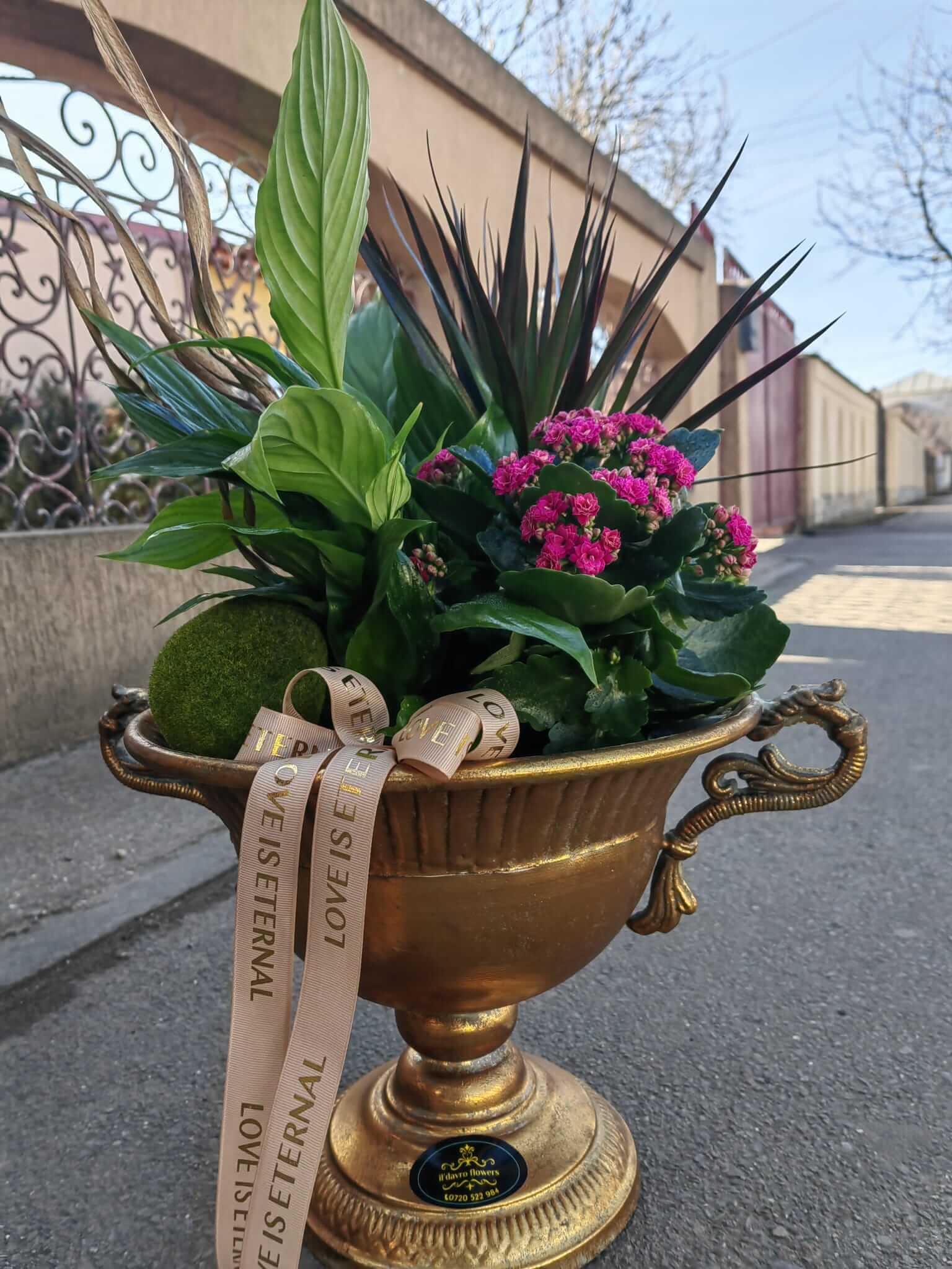 Aranjament boem din plante, intr o cupa vintage Il Davro-Flowers